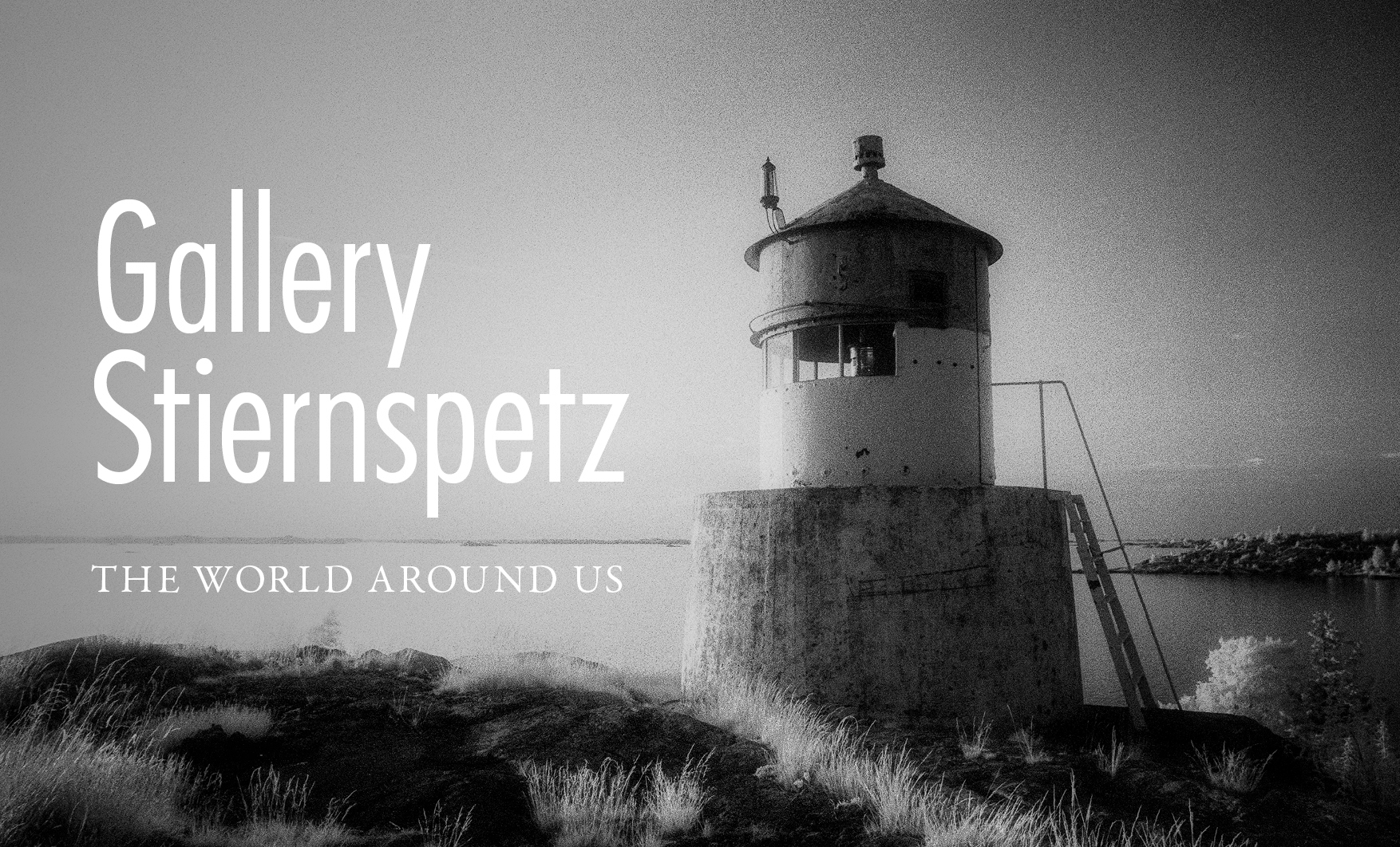 Gallery Stiernspetz